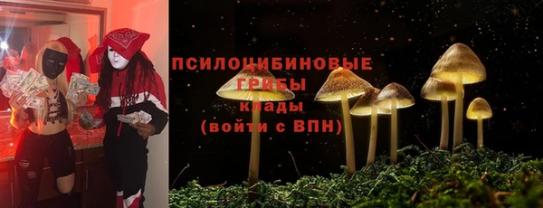PSILOCYBIN Михайловск
