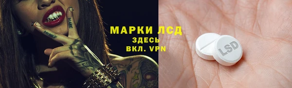 прущий лед Михайлов
