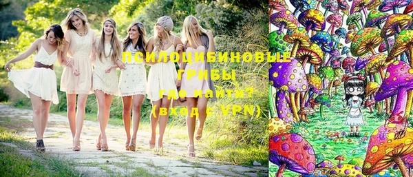 PSILOCYBIN Михайловск