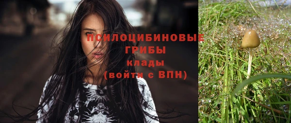 PSILOCYBIN Михайловск