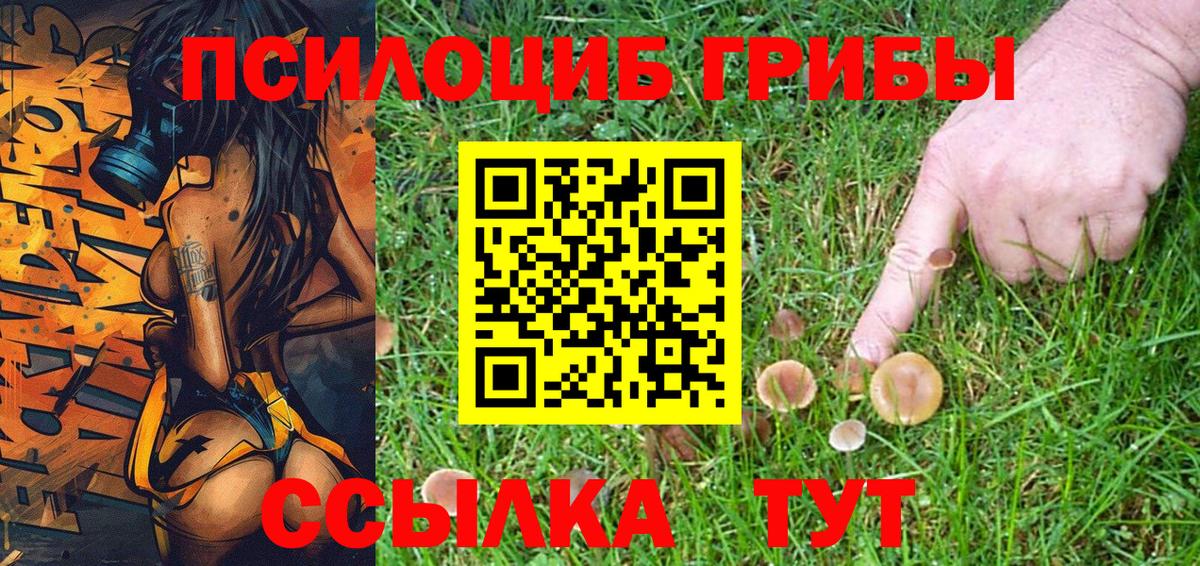  COCAIN Златоуст