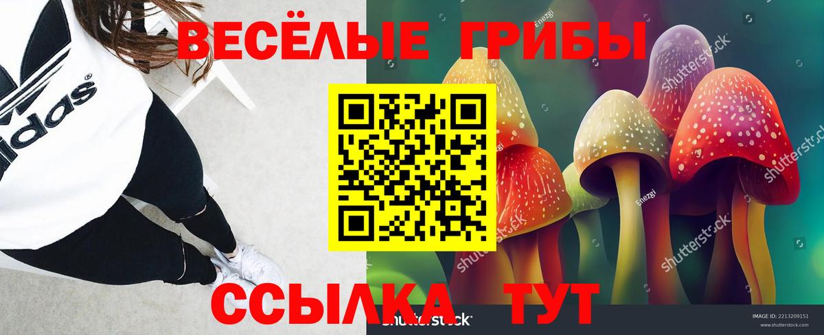 Златоуст  Псилоцибиновые грибы Psilocybine cubensis  Вход с VPN  Псилоцибиновые грибы мухоморы 